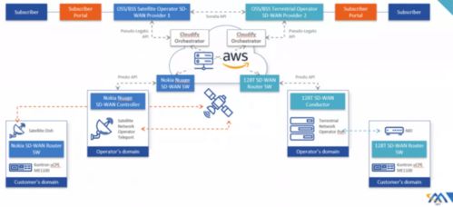 淺析基于衛(wèi)星通信的軟件定義網(wǎng)絡(luò) 網(wǎng)絡(luò)與信息安全軟件開發(fā)的新范式